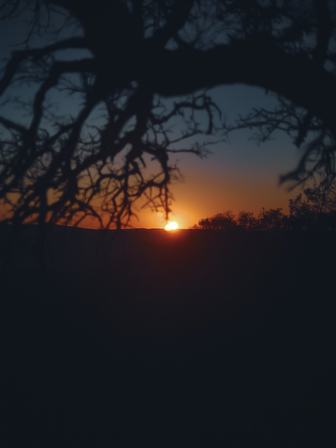 landscapes-3