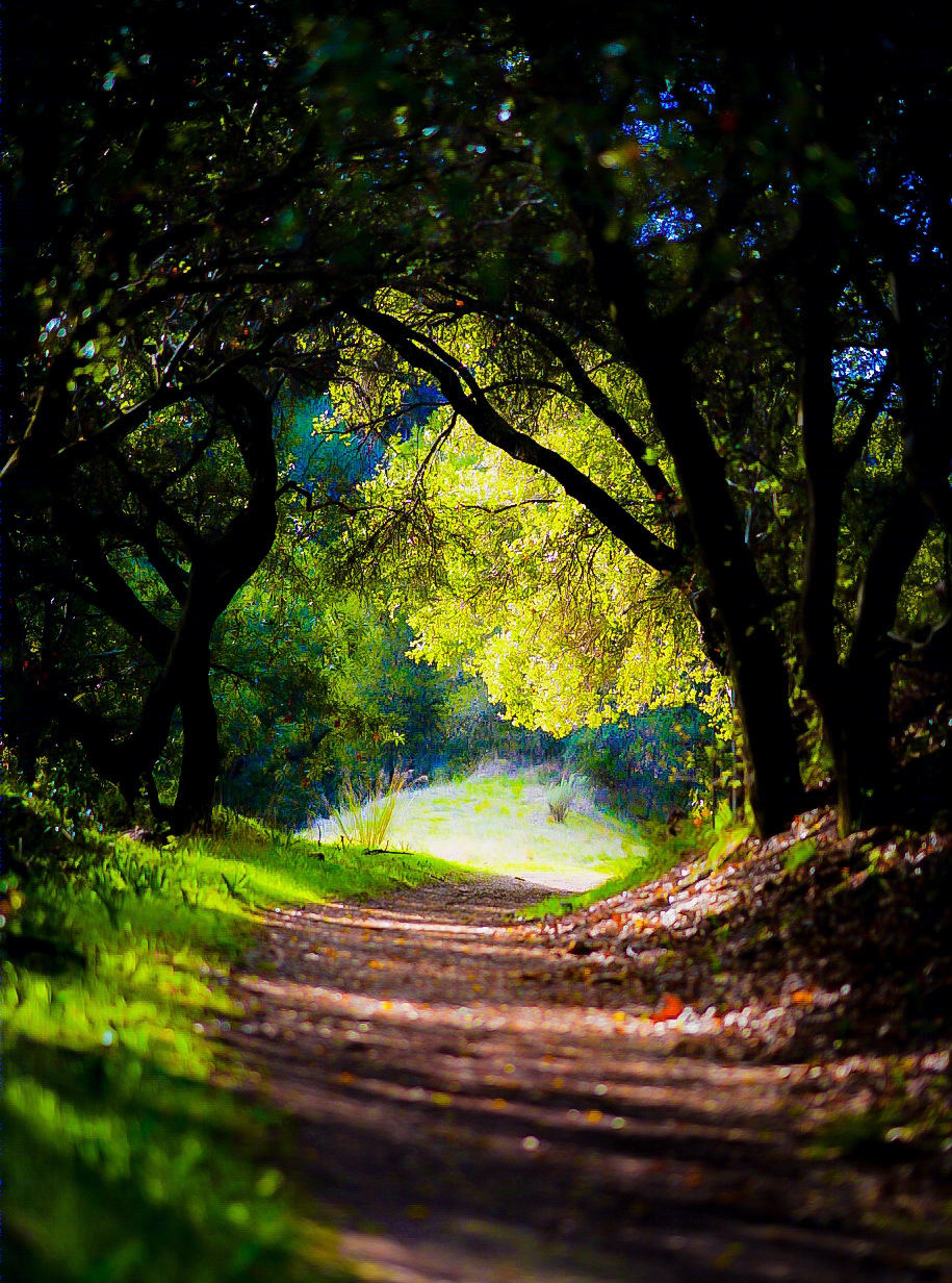 landscapes-4