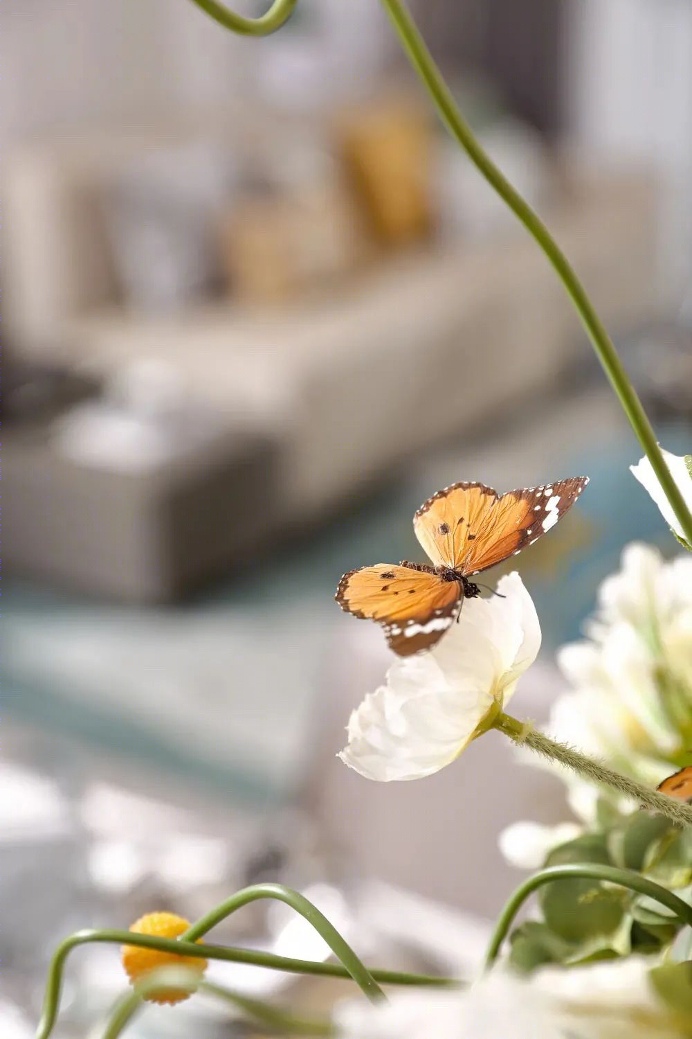 佛山铂悦都会样板间丨中国佛山丨树美国内设计中心-0