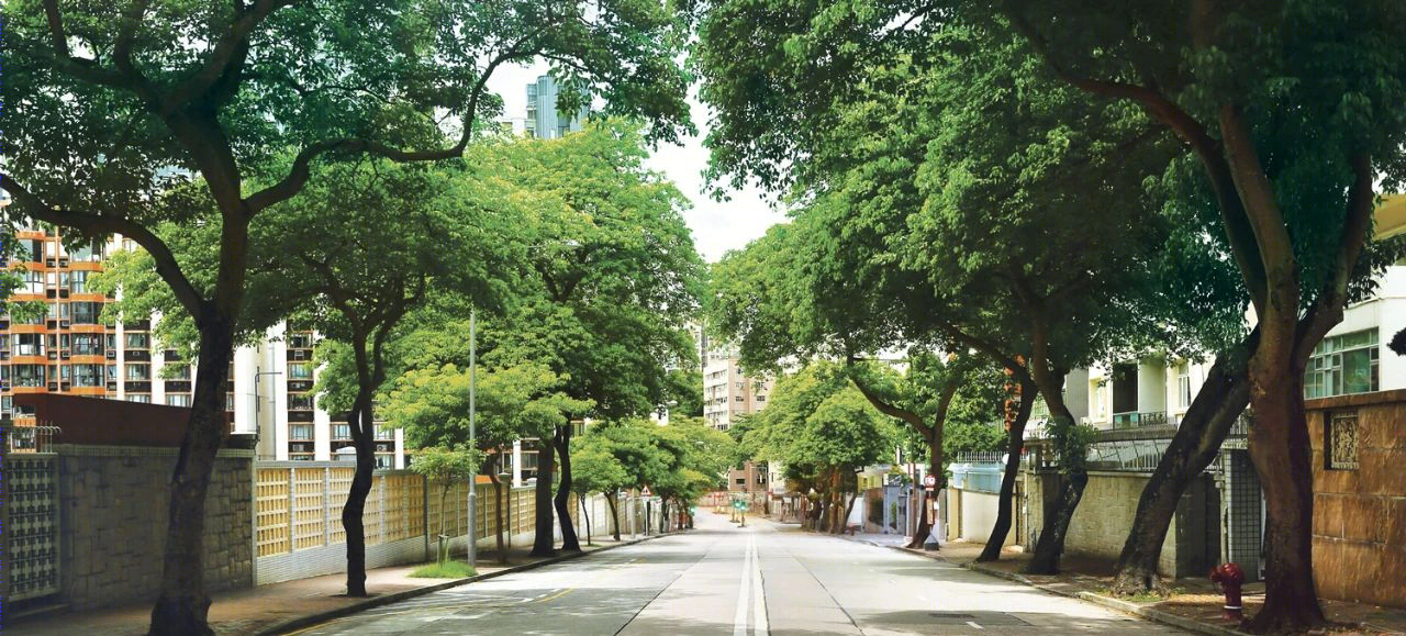 香港豪宅 10 LaSalle丨中国香港丨LWK＆Partners-7