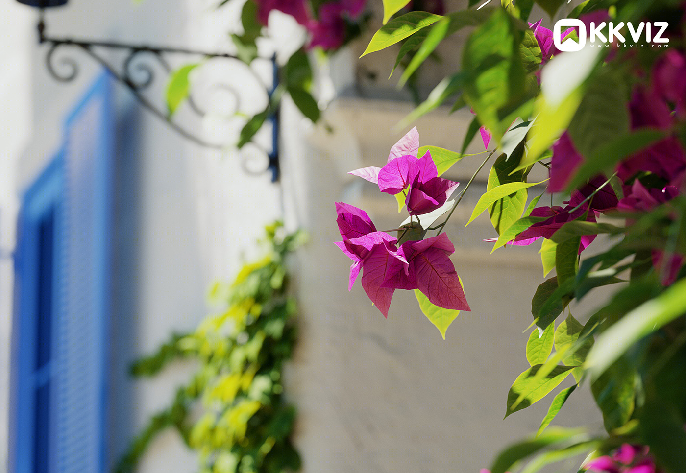 KKVIZ Pack 01 · Vine 3D 模型集合-19