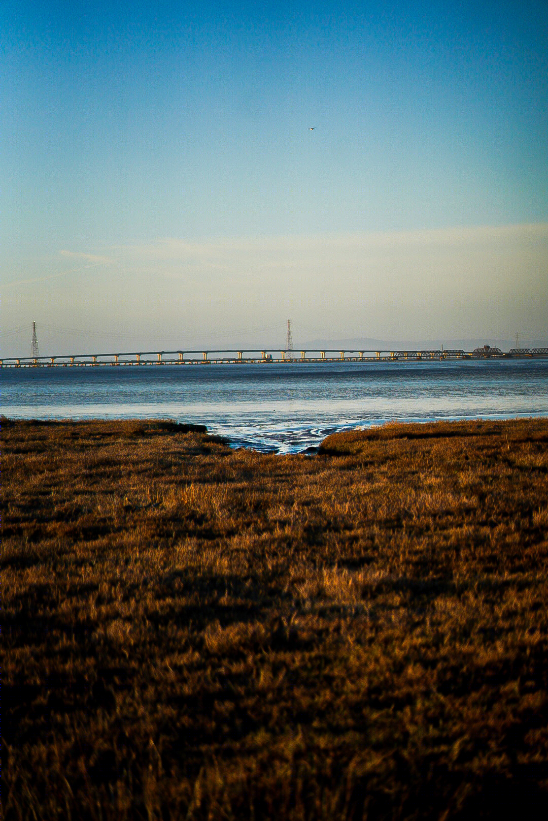 landscapes-7