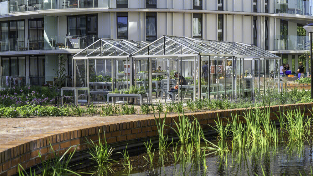 阿姆斯特丹西部狂想曲住宅 · 绿色降噪的宜居设计-33