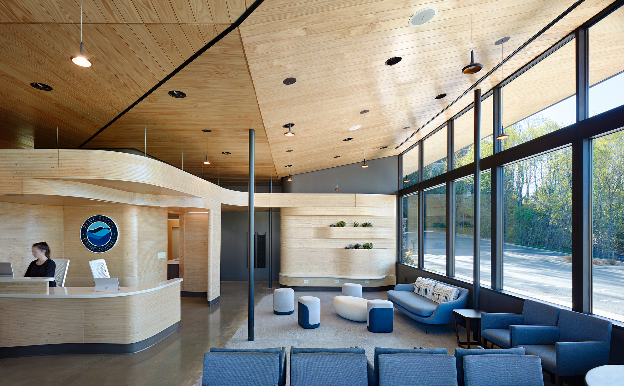 Blue Ridge Orthodontics 绿色疗愈空间-3