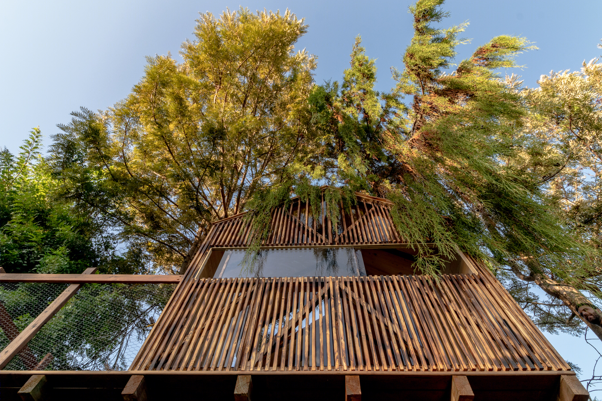 祖父为孙子们设计的自然树屋-19