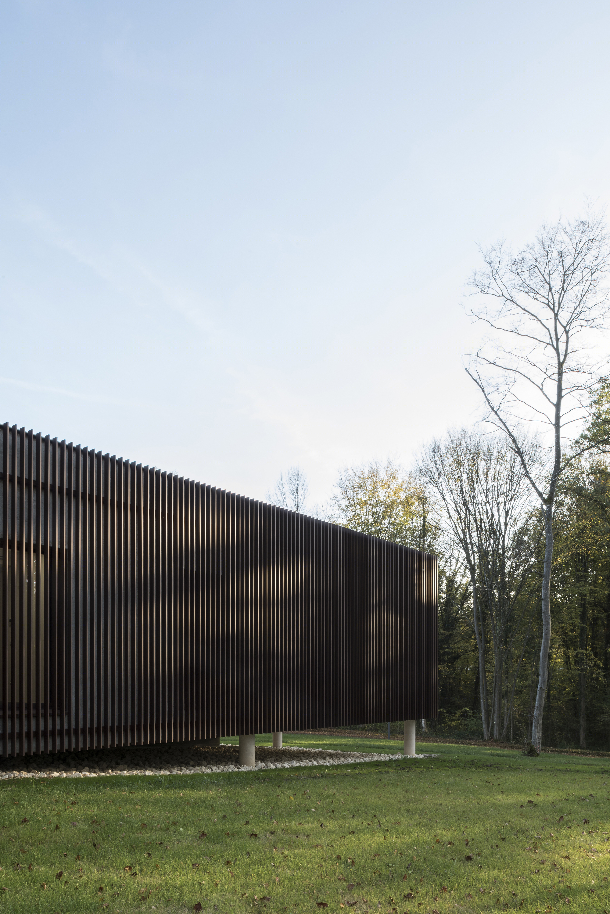 落叶林中的皮肤病实验室-41