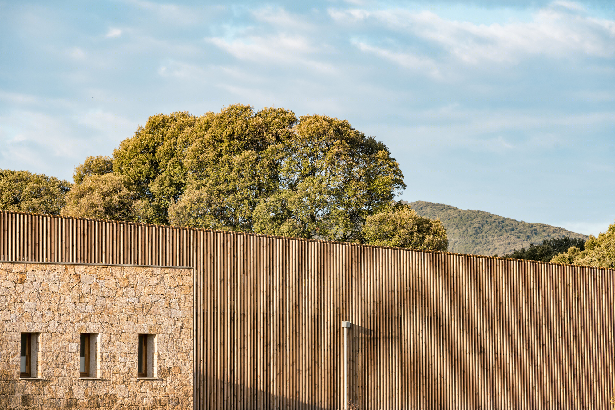 Strega 学校 | 绿意盎然的自然共生建筑-29