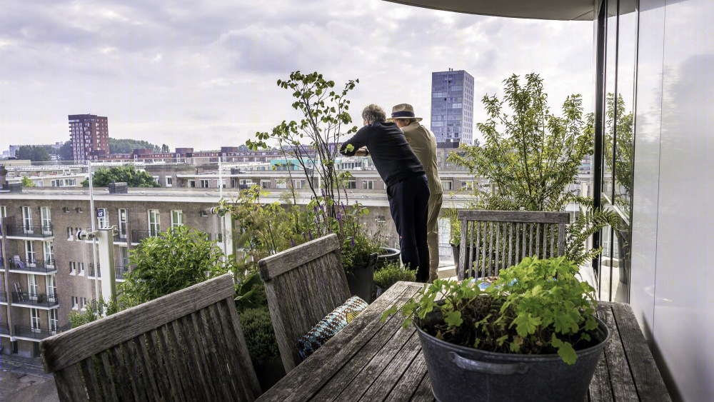阿姆斯特丹西部狂想曲住宅 · 绿色降噪的宜居设计-34