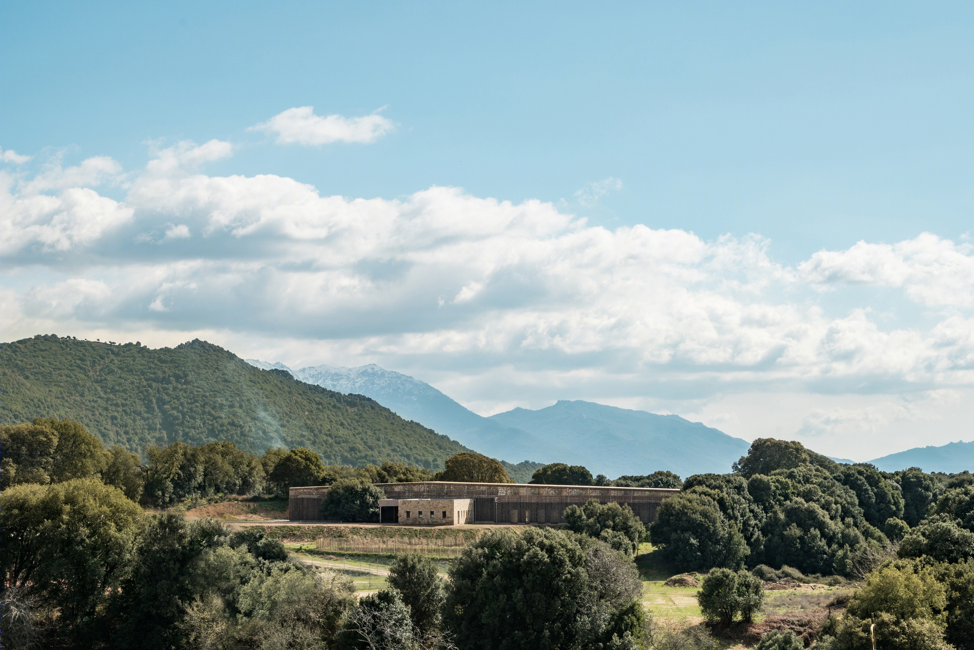 Strega 学校 | 绿意盎然的自然共生建筑-30