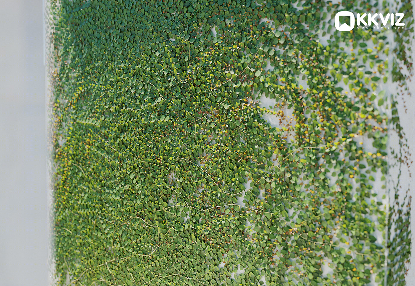 KKVIZ Pack 01 · Vine 3D 模型集合-22