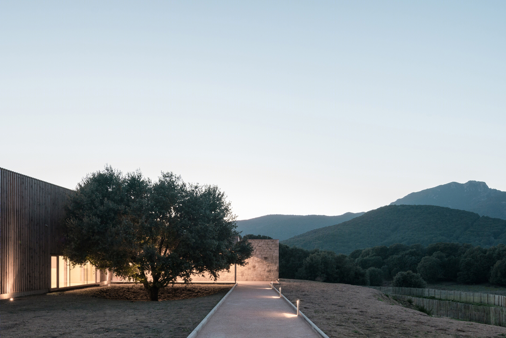 Strega 学校 | 绿意盎然的自然共生建筑-31