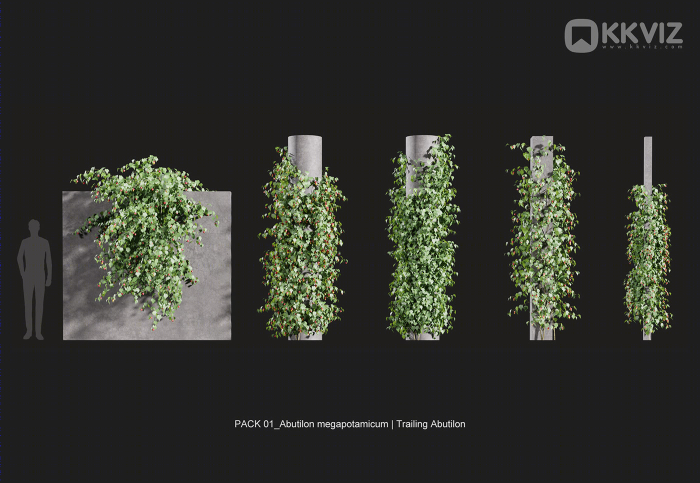 KKVIZ Pack 01 · Vine 3D 模型集合-24