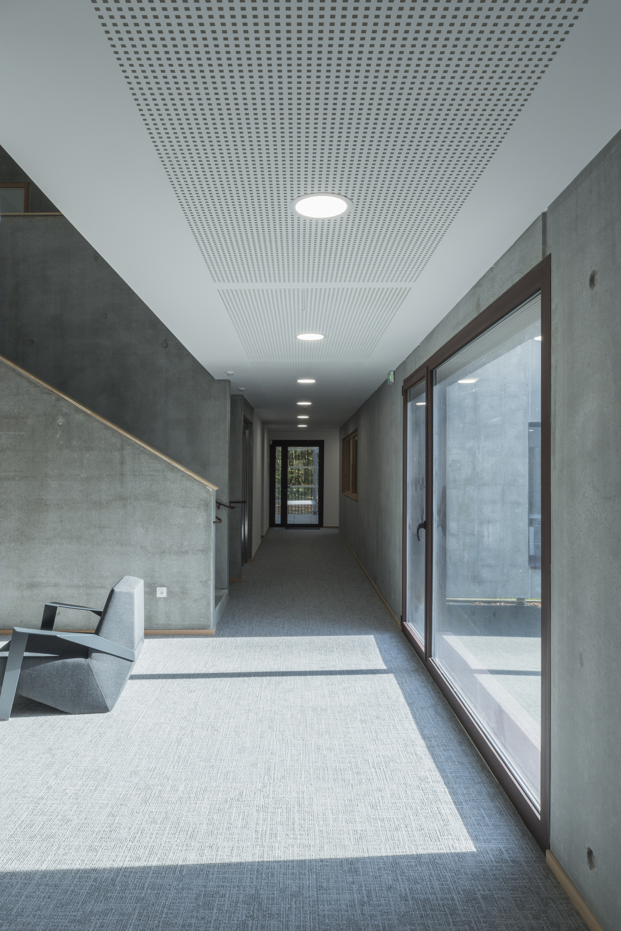 落叶林中的皮肤病实验室-44