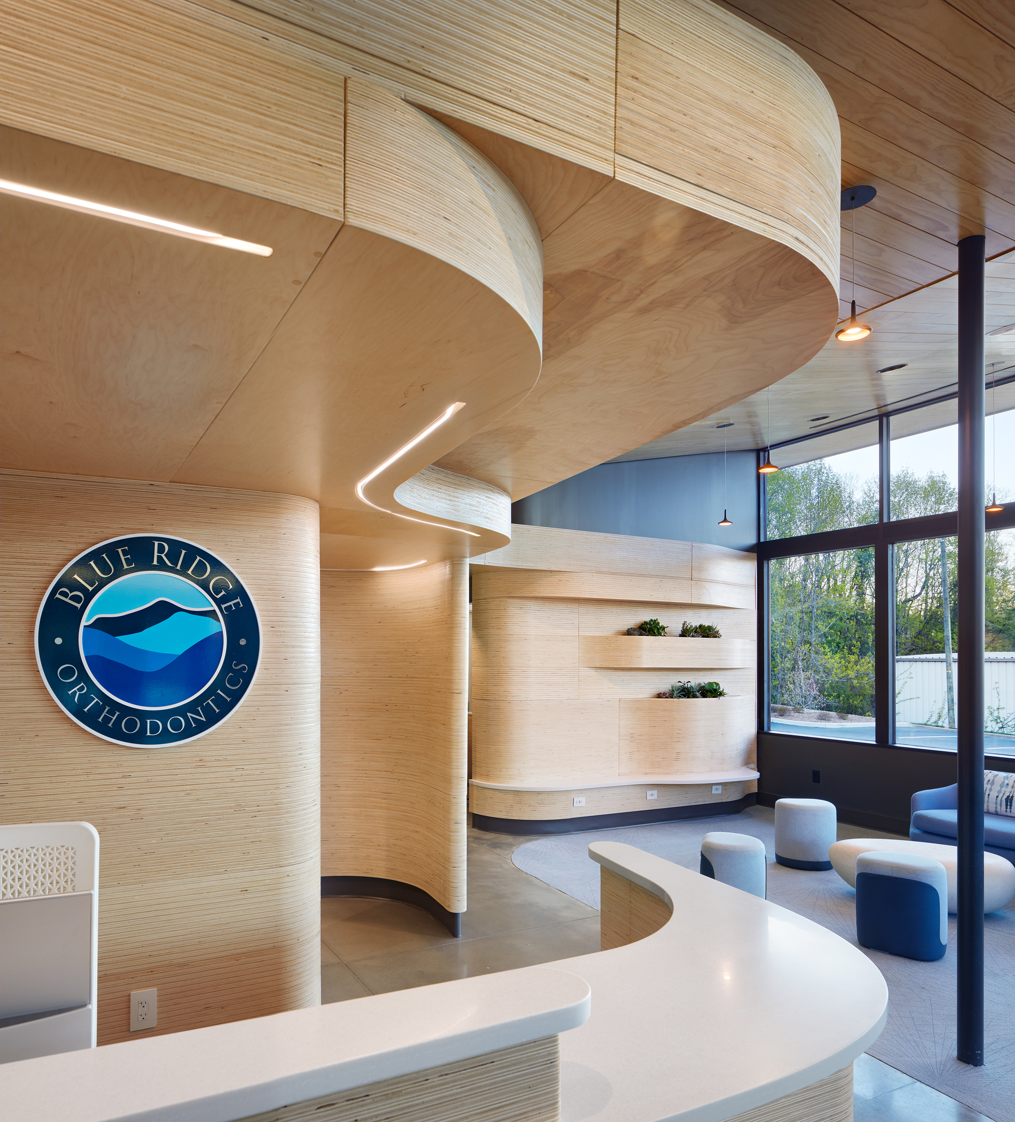 Blue Ridge Orthodontics 绿色疗愈空间-11