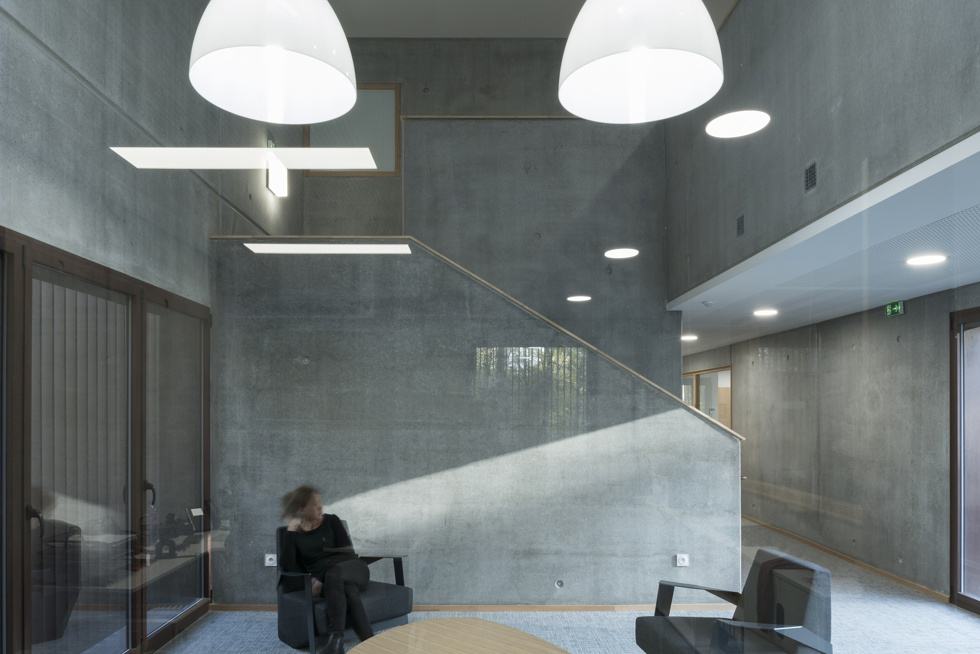 落叶林中的皮肤病实验室-45