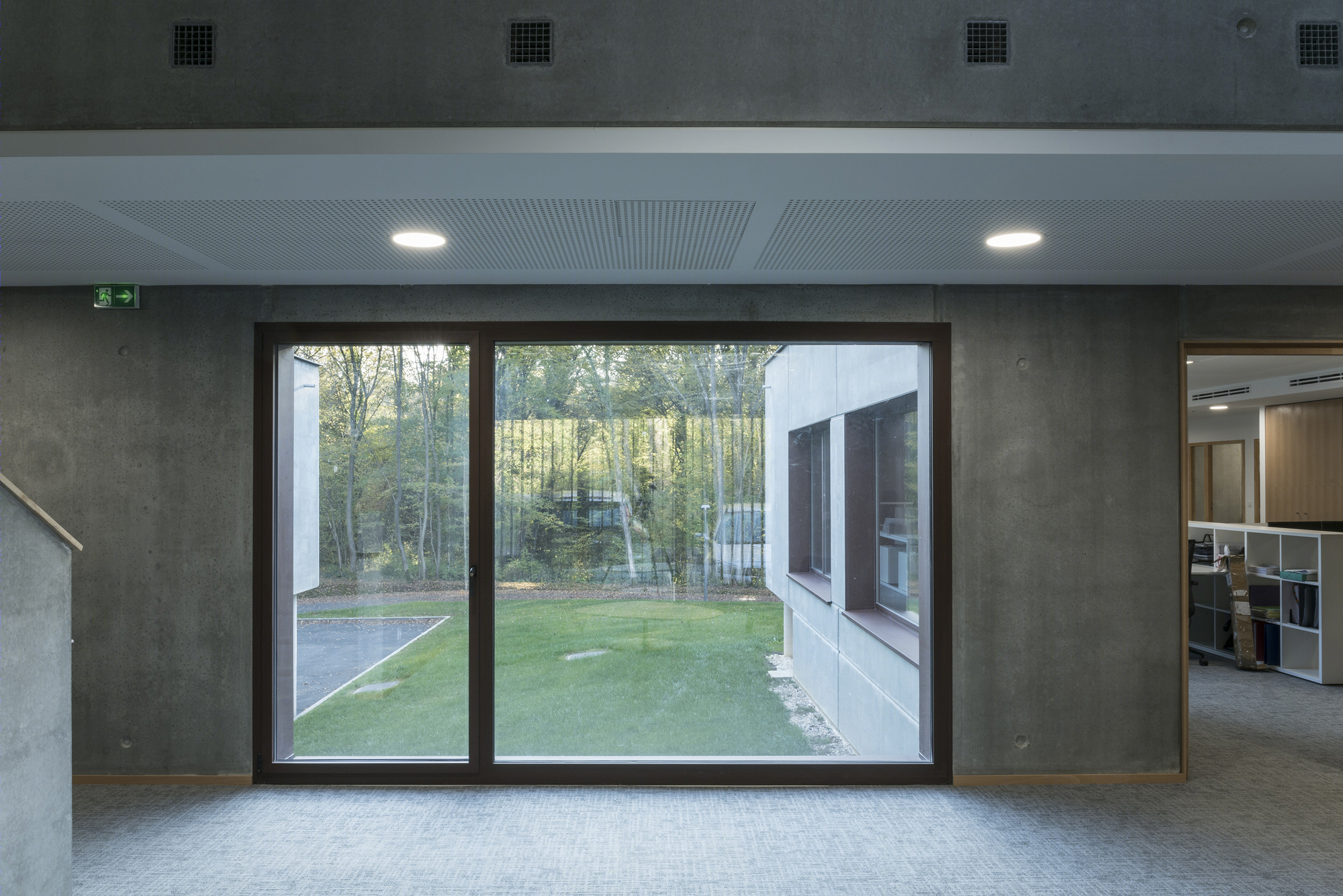 落叶林中的皮肤病实验室-46