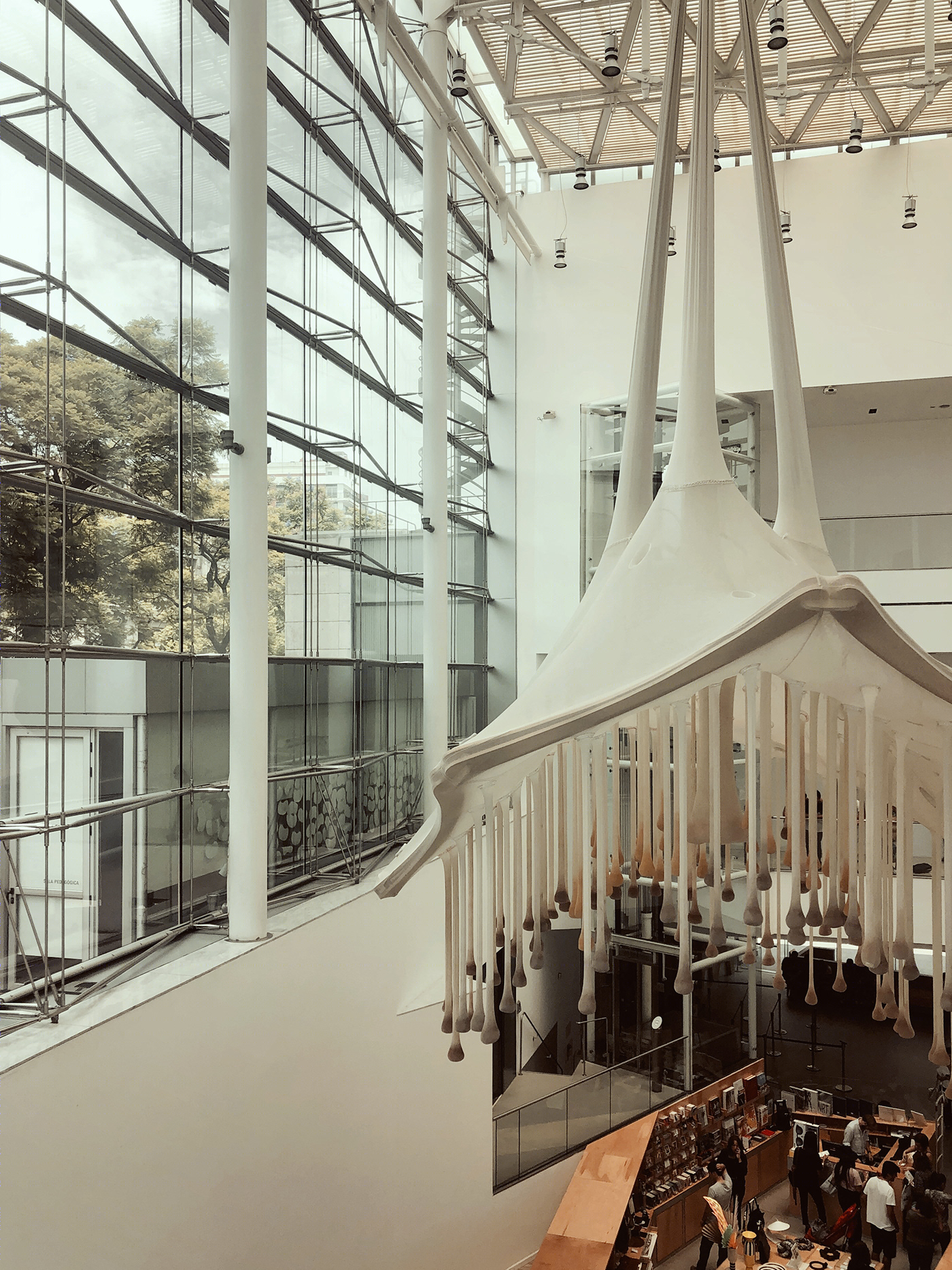 阿根廷 MALBA 博物馆 | Ernesto Neto 的自然精神室内设计-3