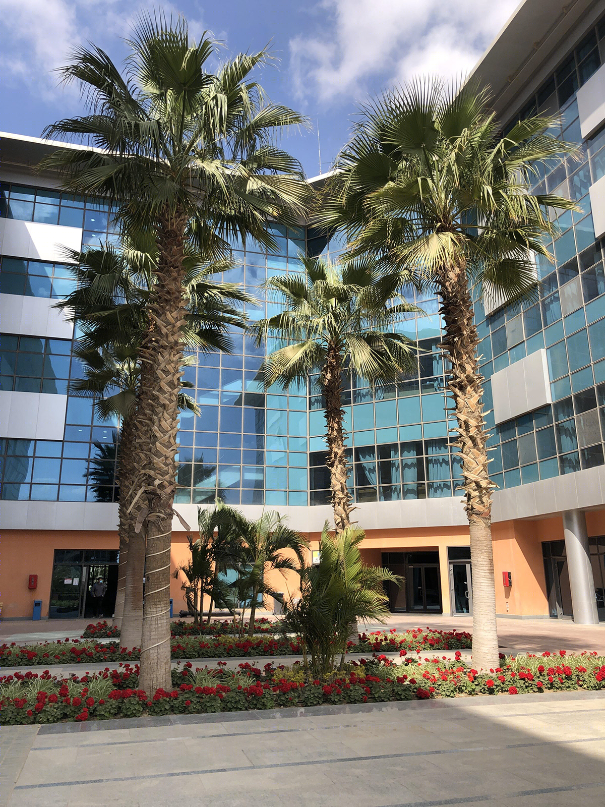 GUC Cairo 校园角楼设计-10